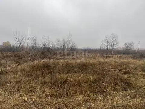 Участок в Воронежская область, Борисоглебск Лазоревая ул. (9.0 сот.)