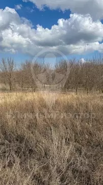 Участок в Рязанская область, Рязанский муниципальный округ, д. ...