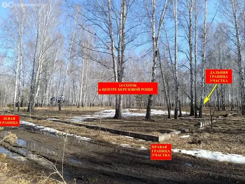 Участок в посёлок Рощино, Российская улица, 151А (14 м)