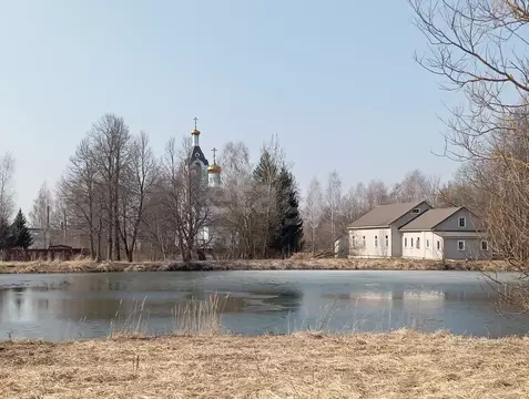 Участок в Московская область, Дмитровский муниципальный округ, д. ...