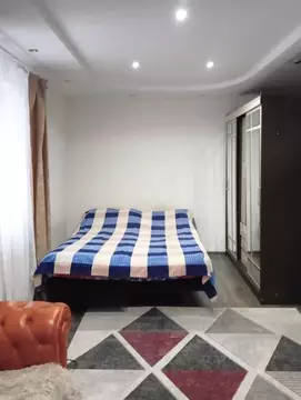 1-к кв. Московская область, Ногинск Богородский городской округ, ул. ...