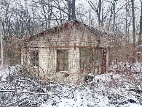Дом в Белгородская область, Белгородский район, Стрелецкое с/пос, ...