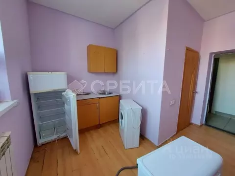 Студия Тюменская область, Тюмень ул. Бабарынка, 65 (15.9 м)