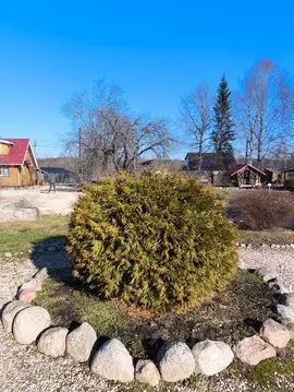 Комната Псковская область, Пушкиногорье городское поселение, д. ...