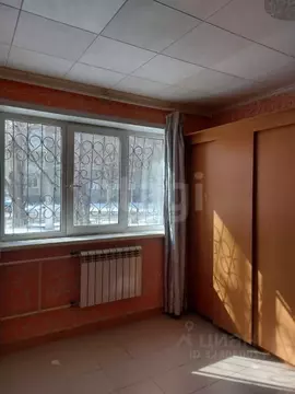 Студия Красноярский край, Красноярск Зеленая Роща мкр, ул. ...