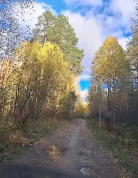 Дом в Пермский край, Пермский муниципальный округ, Мечта СНТ 75 (30 м)
