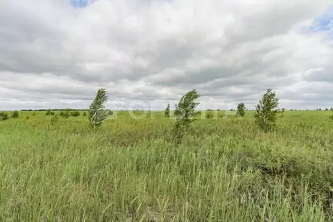 Участок в Тюменская область, Тюмень  (6.0 сот.)