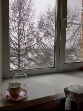 1-к кв. Омская область, Омск Береговой мкр, Советская ул., 5 (29.6 м)