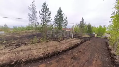 Участок в Тюменская область, Тюмень Звенящие Кедры Тюмени ДНП,  (7.0 ...