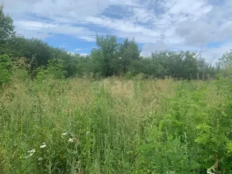 Участок в Воронежская область, Каширский район, Дзержинское с/пос, ...