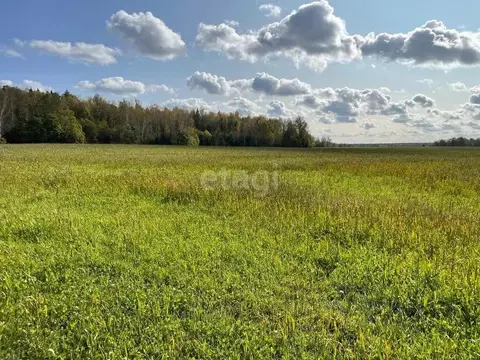 Участок в Калужская область, Боровский район, Кривское с/пос, д. ...