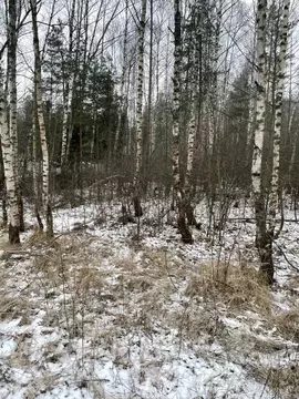 Участок в Московская область, Павлово-Посадский городской округ, д. ...