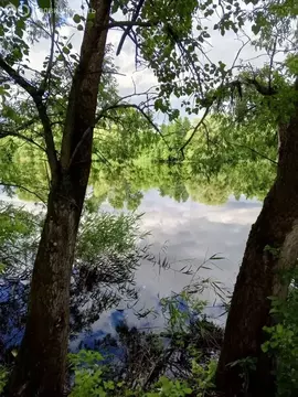 Дом в село Лесное, Первомайская улица (70 м)