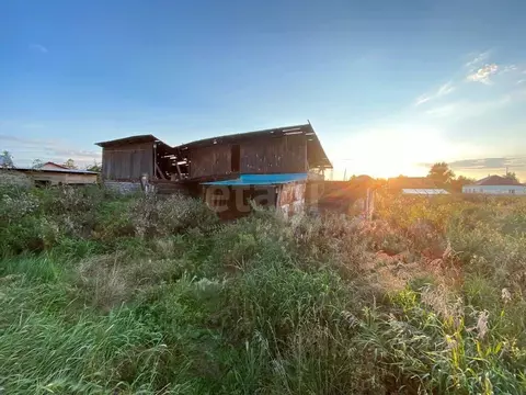 Участок в Новосибирская область, Коченево рп  (14.35 сот.)