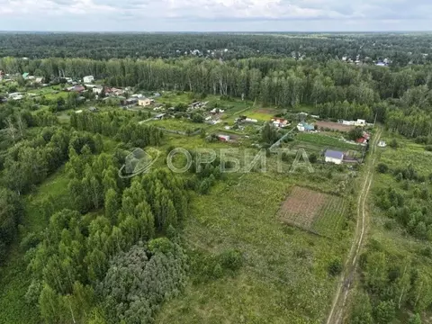Участок в Тюменская область, Тюменский муниципальный округ, Исток СНТ ...