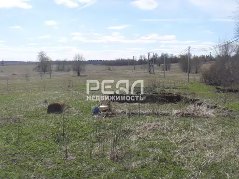 Участок в Ленинградская область, Волосовский район, Большеврудское ...