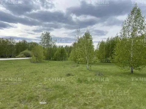 Участок в Челябинская область, Чебаркульский район, Травниковское ...