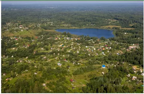 Участок в Новгородская область, Валдайский район, Яжелбицкое с/пос, ...