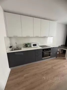 Студия Санкт-Петербург ул. Гудиловская, 6к1 (25.0 м)