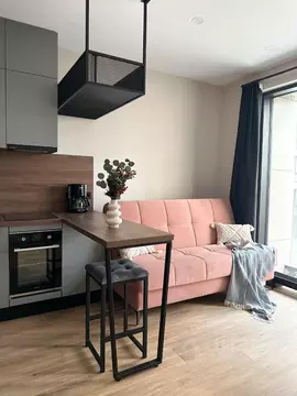 Студия Москва Волгоградский просп., 32/5к2 (24.1 м)