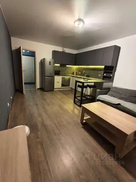 1-к кв. Санкт-Петербург ул. Федора Котанова, 13к1 (50.0 м)