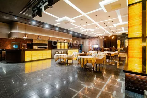 Торговая площадь в Омская область, Омск ул. Дианова, 39 (1500 м)