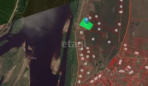 Участок в Амурская область, Благовещенский район, с. Марково  (300.0 ...