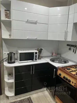 1-к кв. Волгоградская область, Камышин ул. Ленина, 28 (32.0 м)