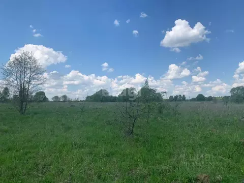 Участок в Калужская область, Боровский район, Совьяки с/пос, д. Ильино ...