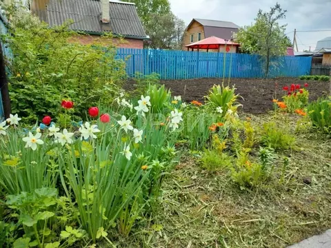 Участок в Тюменская область, Тюмень Плодовое СНТ, ул. Березовая (4.0 ...