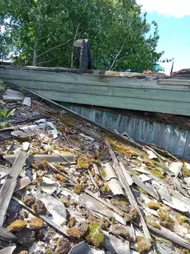 Свободной планировки кв. Амурская область, Зея ул. Мухина, 295 (45.9 ...