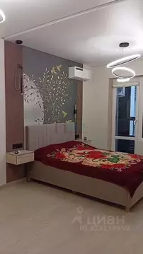 Студия Новосибирская область, Новосибирск ул. Николая Островского, ...