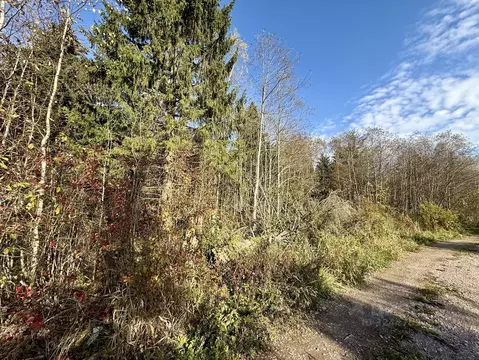 Участок в Ленинградская область, Кировский район, Шумское с/пос, пос. ...