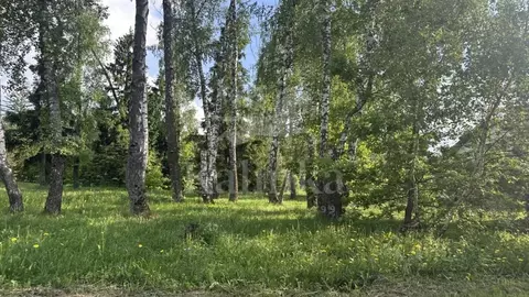 Участок в Московская область, Одинцовский городской округ, д. Шульгино ...