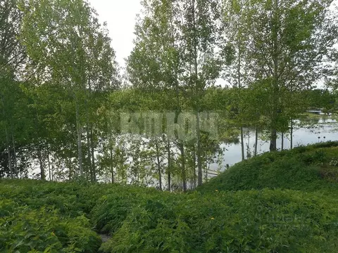 Участок в Вологодская область, Сокольский муниципальный округ, д. ...