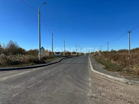 Участок в Тюменская область, Тюмень Царево садовое товарищество, ул. ...