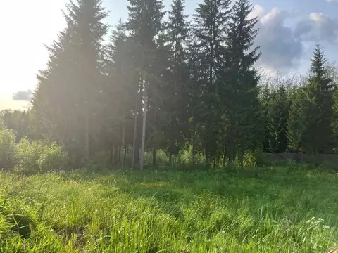 Участок в Ленинградская область, Ломоносовский район, Лопухинское ...