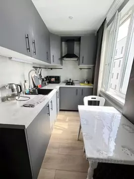 1-к кв. Санкт-Петербург Серебристый бул., 18К2 (31.0 м)