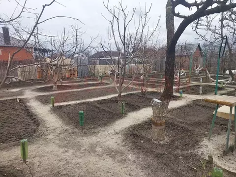 Участок в Ростовская область, Новочеркасск Малинка СТ, 17-я линия (6.0 ...