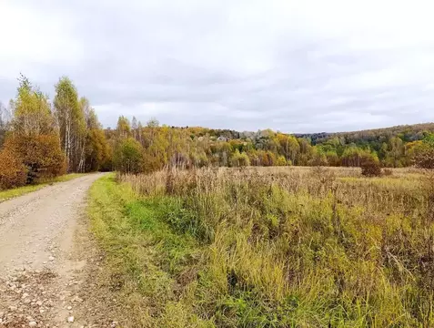 Участок в Калужская область, Город Калуга городской округ, д. Матюнино ...