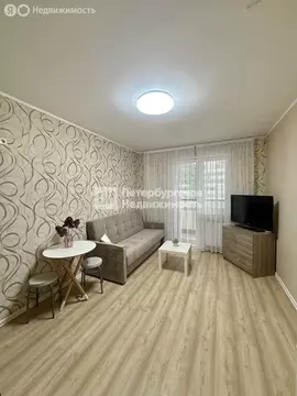 Квартира-студия: Санкт-Петербург, Парашютная улица, 34 (22.5 м)