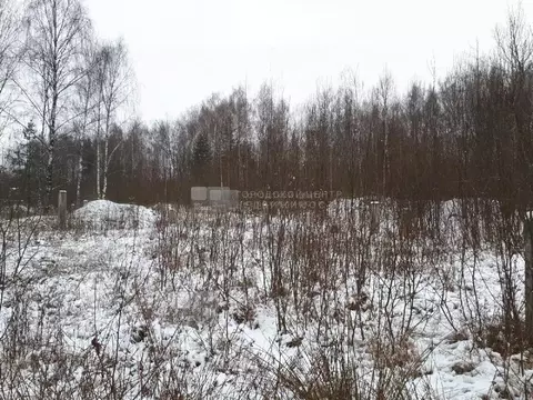 Участок в Московская область, Электроугли Богородский городской округ, ...