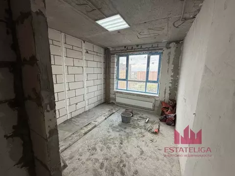 1-к кв. Московская область, Балашиха Новое Павлино мкр, ул. ...