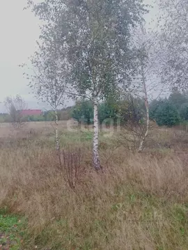 Участок в Псковская область, Печорский муниципальный округ, д. ...