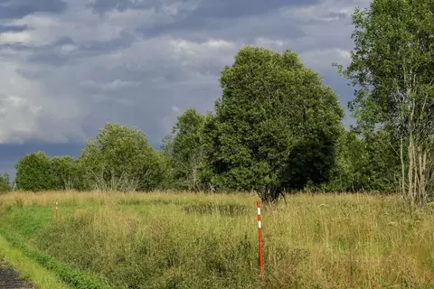 Участок в Ленинградская область, Всеволожский район, Куйвозовское ...