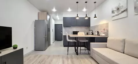 Студия Санкт-Петербург пос. Шушары, просп. Новгородский, 2к3 (25.3 м)