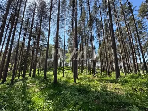 Участок в Ленинградская область, Всеволожский район, Бугровское ...