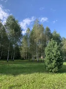 Участок в Тульская область, Заокский район, Малаховское с/пос, ...