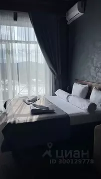 1-к кв. Челябинская область, Миасский городской округ, с. Сыростан ул. ...