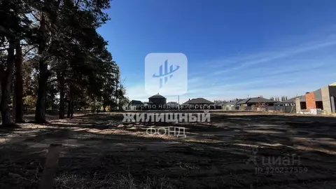 Участок в Саратовская область, Энгельсский район, Красноярское ...